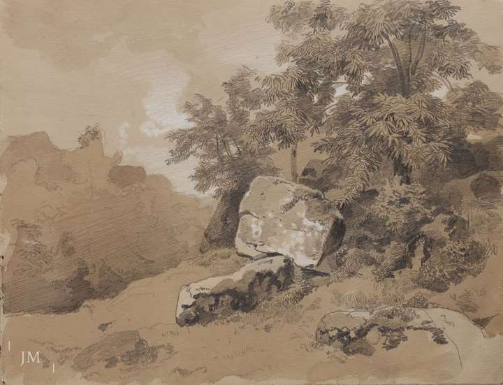 Study of rocks and trees near Richisau, Switzerland